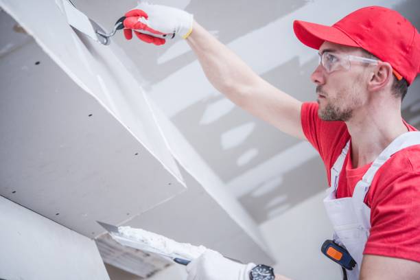 Best Drywall Sanding and Smoothing  in Perry, FL